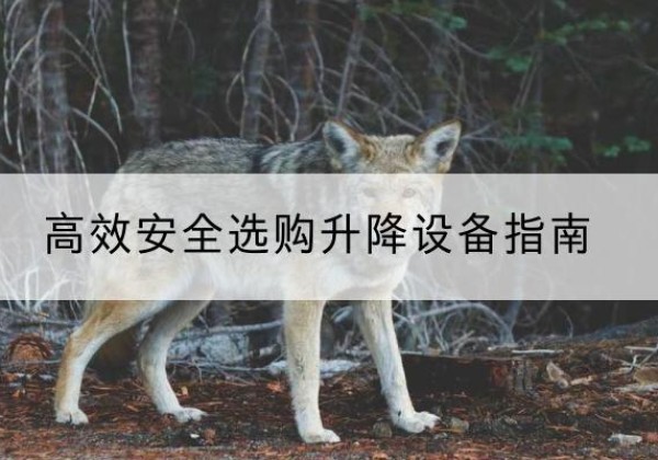 华宁升降货梯厂家推荐-*安全选购升降设备指南