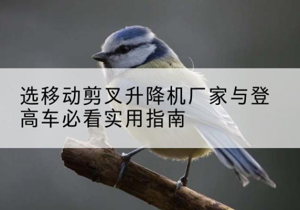 华宁电动升降机厂家-选移动剪叉升降机厂家与登高车必看实用指南
